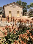 IMG_9588