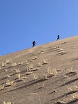 IMG_9690