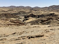 IMG_9801