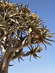 IMG_9811