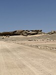 IMG_9817