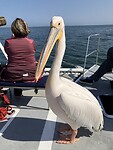 IMG_9901