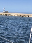 IMG_9910