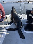 IMG_9880