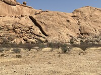 IMG_9993