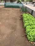 IMG_0042