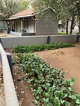 IMG_0043