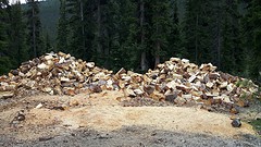 gratis hout