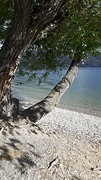 Peachland