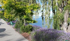 Peachland