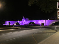 Avignon brug