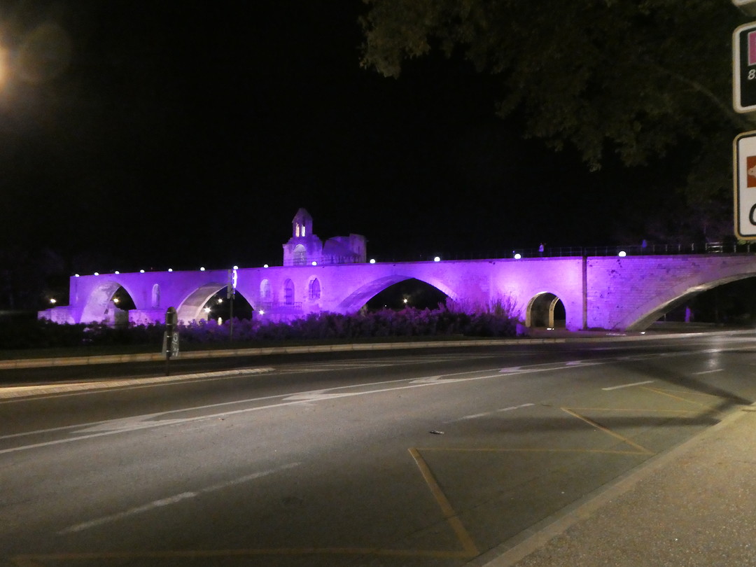 Avignon brug