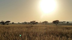 IMG-20160807-WA0013