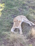 20160810_155631