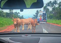 IMG-20191013-WA0013