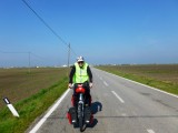 Polder landschap