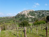 Stimigliano