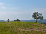 Parco National Veio