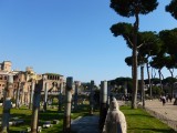 Forum Romanum