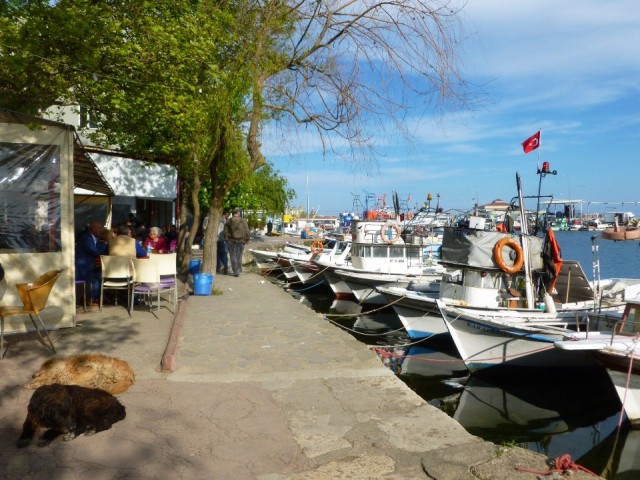 Haven en terrassen van Sinop