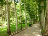 Lommerrijke 100 hectare
