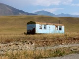 De film 'Into the wild' al gezien?