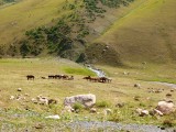 Op weg naar de Ala-Bel Pass