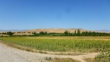 Langs de M41 naar Jalal-Abad