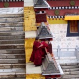 Hele jonge monniken - Serti Gompa klooster, Langmusi