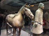 Één van de 116 infanteristen met paard en kruisboog uit Pit 2