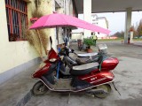 Heel handig in de regen, bijna iedere scooter had er vandaag één
