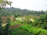 Kleinschalige landbouw