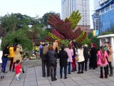 Nu snap ik ook waarom de Keukenhof het zo goed doet bij de Chinezen