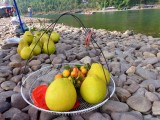 Pomelo's en mandarijnen te koop
