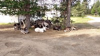 IMG_20170808_103920053_HDR