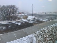 Snowy daze🌨