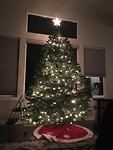 T’is the season🎄