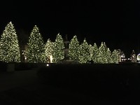 Lights, lights!