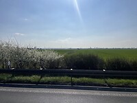 IMG_4061