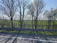 IMG_4059