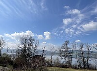IMG_7345
