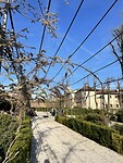 IMG_7369