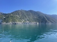 IMG_4185