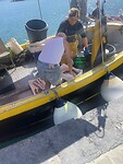 IMG_4205