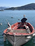 IMG_7455
