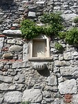 IMG_4216