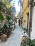 IMG_4222