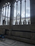 IMG_4246