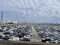 IMG_7508