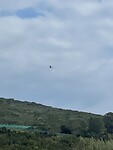IMG_4274